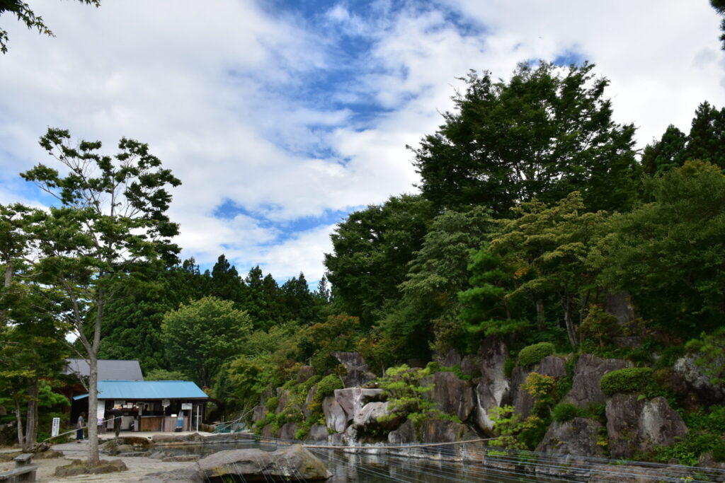 木立と青い空