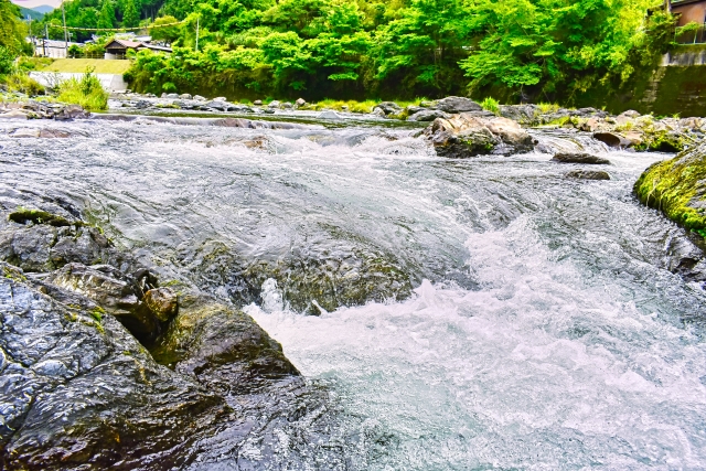 白い波を立てて流れる川の瀬