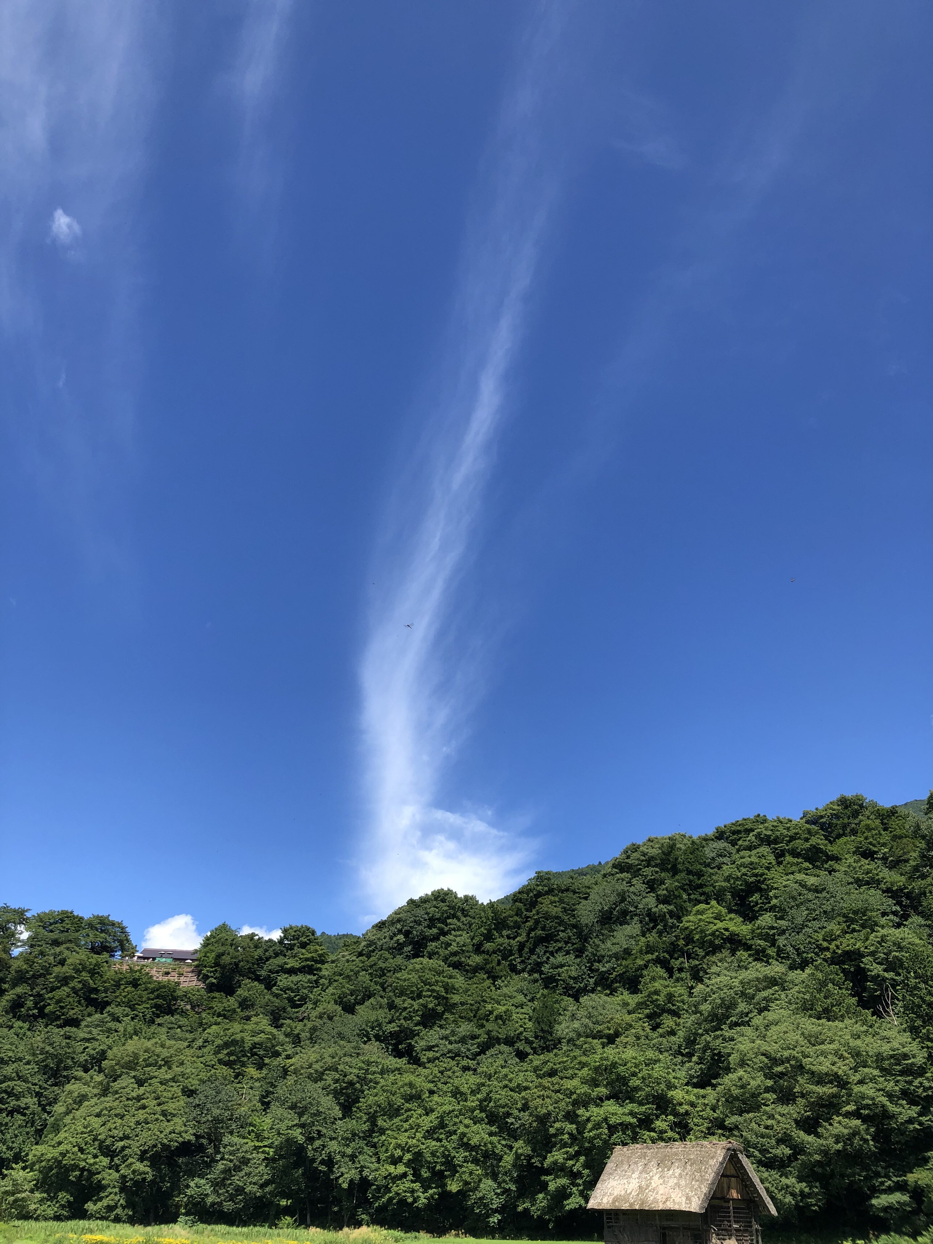飛騨高山の空と森の風景