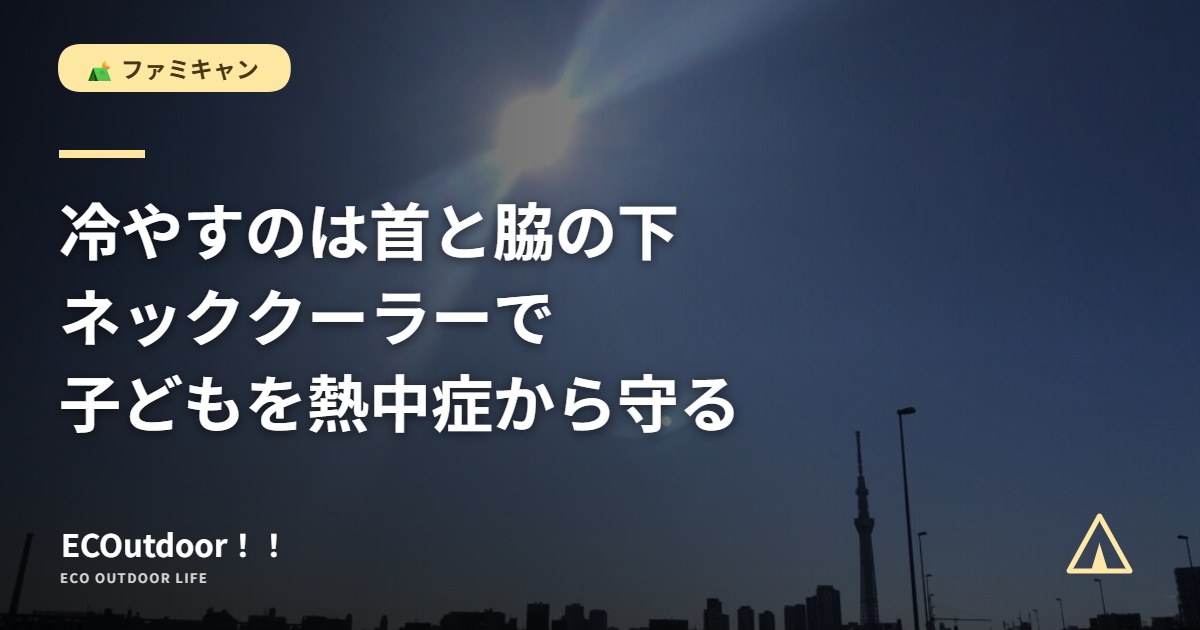 真夏の強い日差し