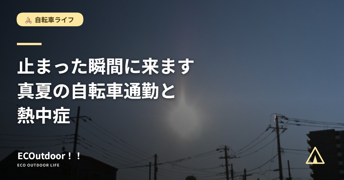 真夏の強い日差し