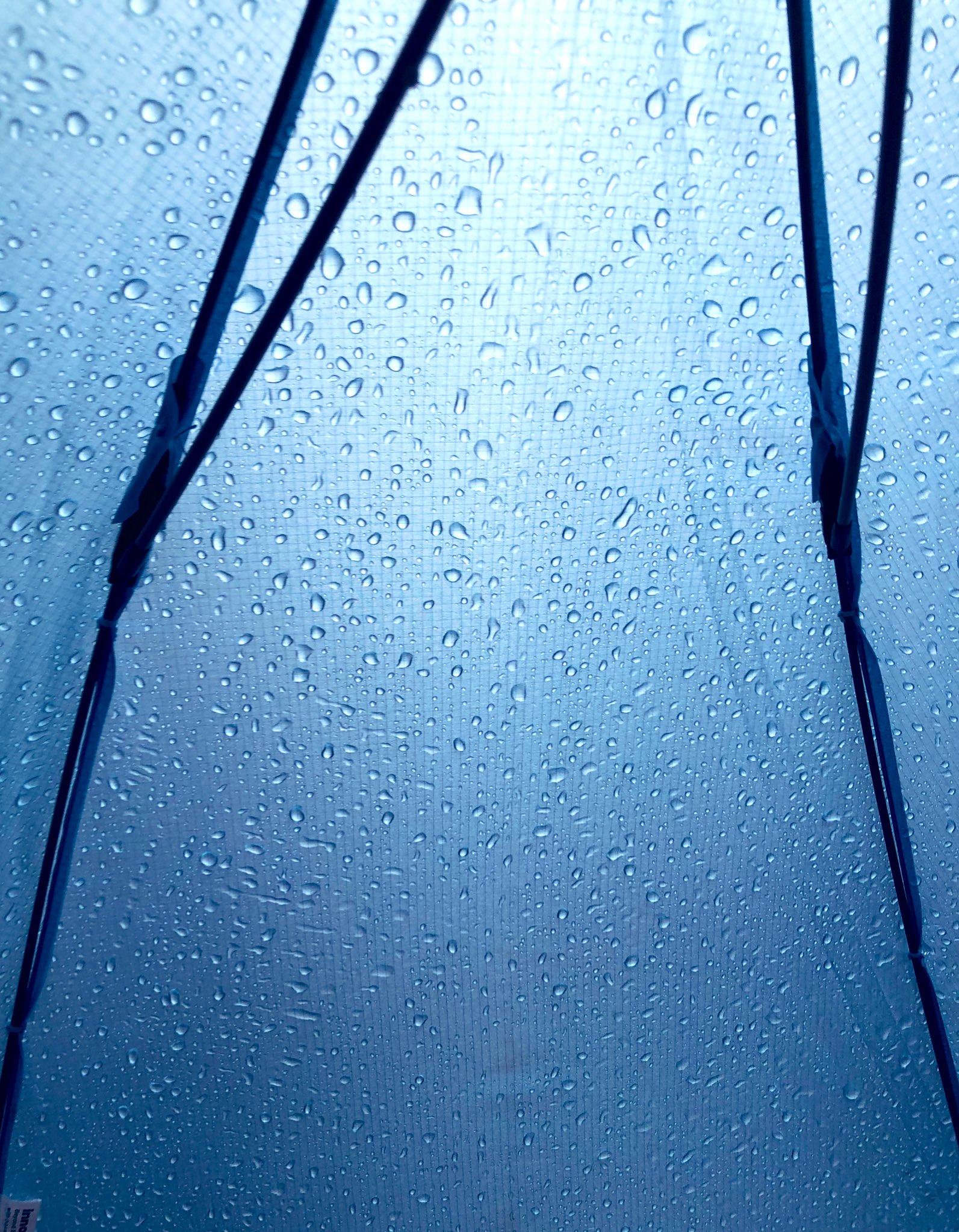 雨の中のテント